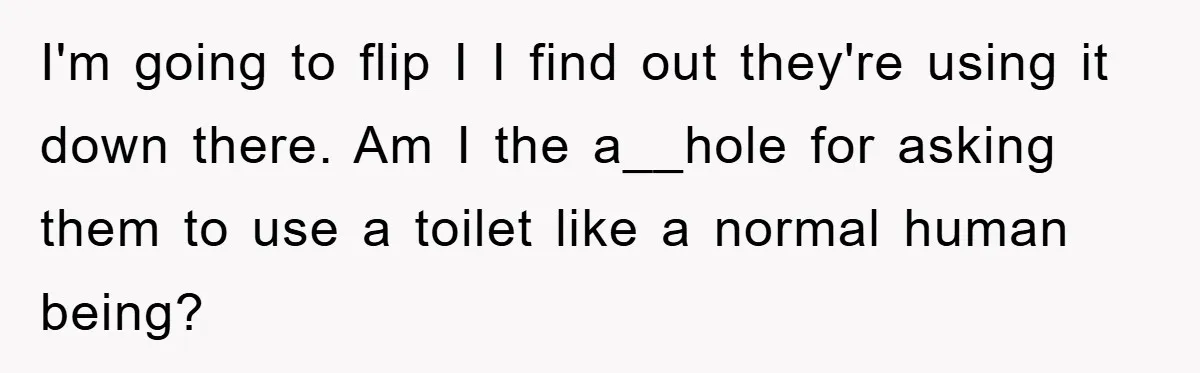 I'm going to flip I I find out they're using it down there. Am I the a__hole for asking them to use a toilet like a normal human being?