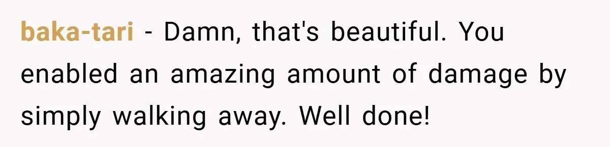 baka-tari − Damn, that's beautiful. You enabled an amazing amount of damage by simply walking away. Well done!