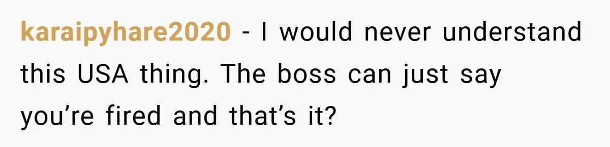 karaipyhare2020 − I would never understand this USA thing. The boss can just say you’re fired and that’s it?