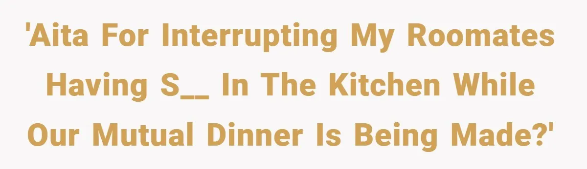 'AITA for interrupting my roomates having s__ in the kitchen while our mutual dinner is being made?'