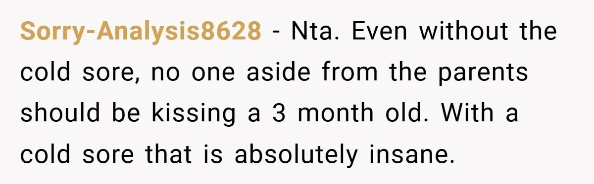 Sorry-Analysis8628 − Nta. Even without the cold sore, no one aside from the parents should be kissing a 3 month old. With a cold sore that is absolutely insane.