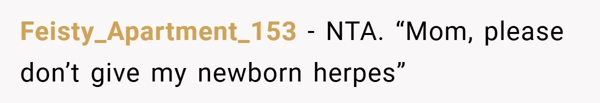 Feisty_Apartment_153 − NTA. “Mom, please don’t give my newborn herpes”