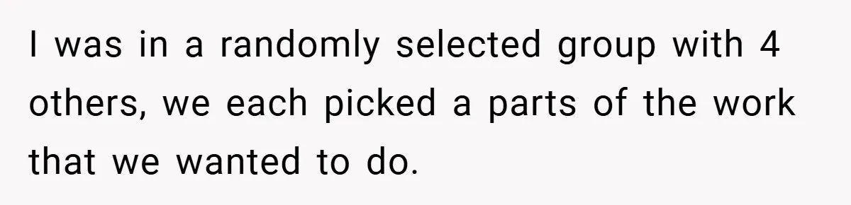 I was in a randomly selected group with 4 others, we each picked a parts of the work that we wanted to do.