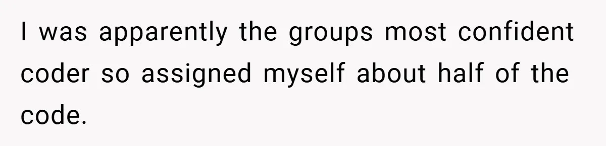 I was apparently the groups most confident coder so assigned myself about half of the code.