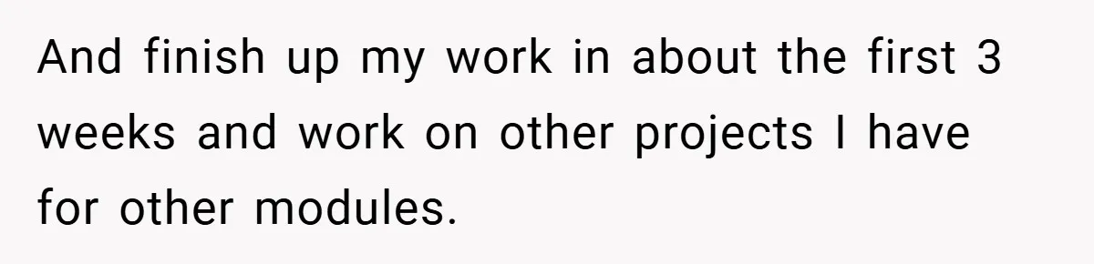 And finish up my work in about the first 3 weeks and work on other projects I have for other modules.