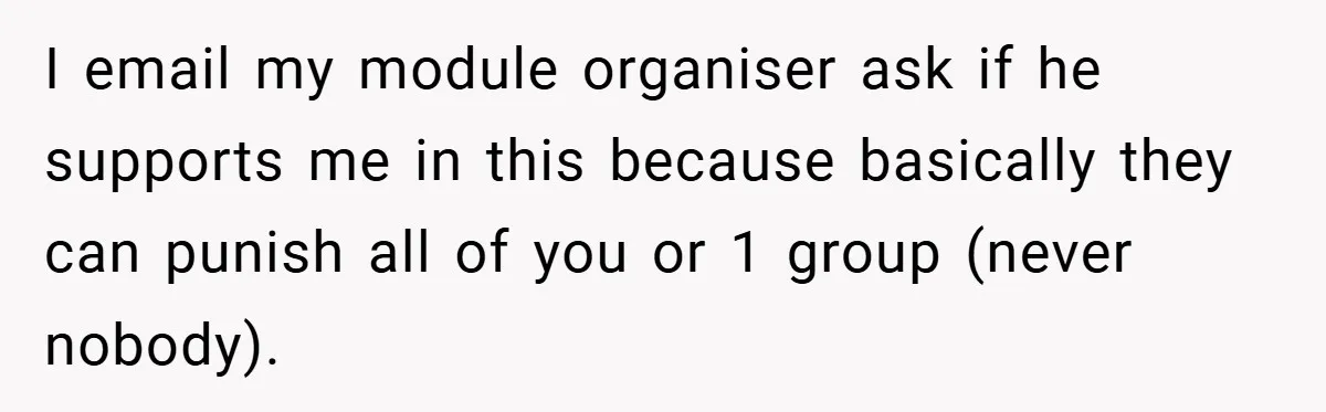 I email my module organiser ask if he supports me in this because basically they can punish all of you or 1 group (never nobody).
