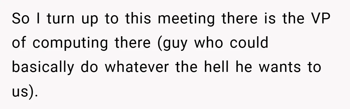 So I turn up to this meeting there is the VP of computing there (guy who could basically do whatever the hell he wants to us).