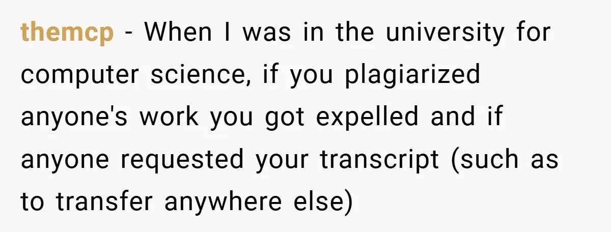 themcp − When I was in the university for computer science, if you plagiarized anyone's work you got expelled and if anyone requested your transcript (such as to transfer anywhere...