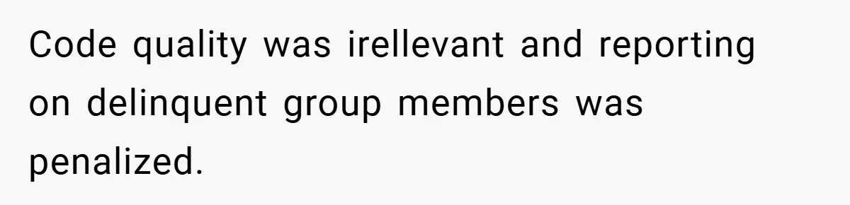 Code quality was irellevant and reporting on delinquent group members was penalized.