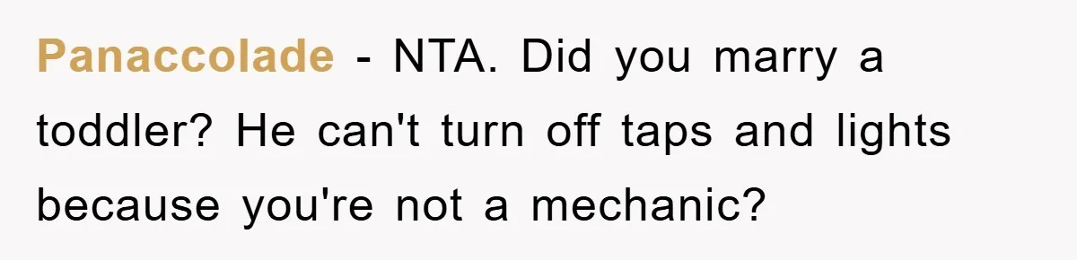 Panaccolade − NTA. Did you marry a toddler? He can't turn off taps and lights because you're not a mechanic?