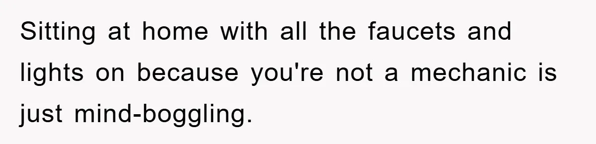 Sitting at home with all the faucets and lights on because you're not a mechanic is just mind-boggling.