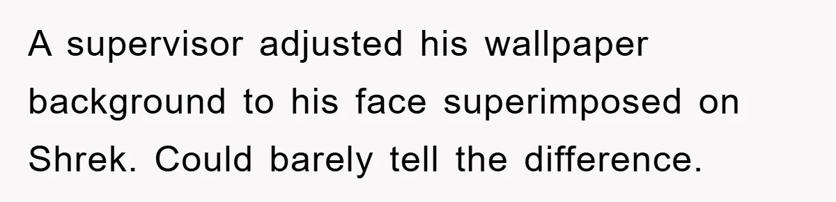 A supervisor adjusted his wallpaper background to his face superimposed on Shrek. Could barely tell the difference.