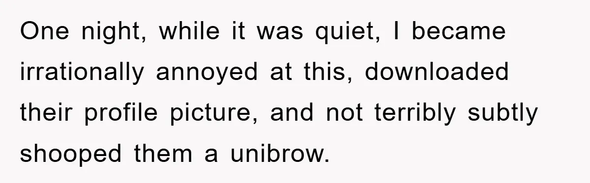 One night, while it was quiet, I became irrationally annoyed at this, downloaded their profile picture, and not terribly subtly shooped them a unibrow.