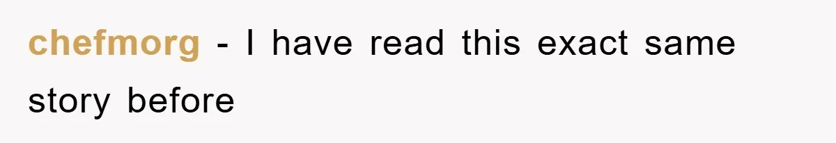 chefmorg − I have read this exact same story before