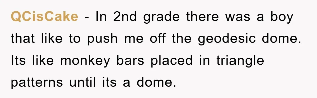 QCisCake − In 2nd grade there was a boy that like to push me off the geodesic dome. Its like monkey bars placed in triangle patterns until its a dome.
