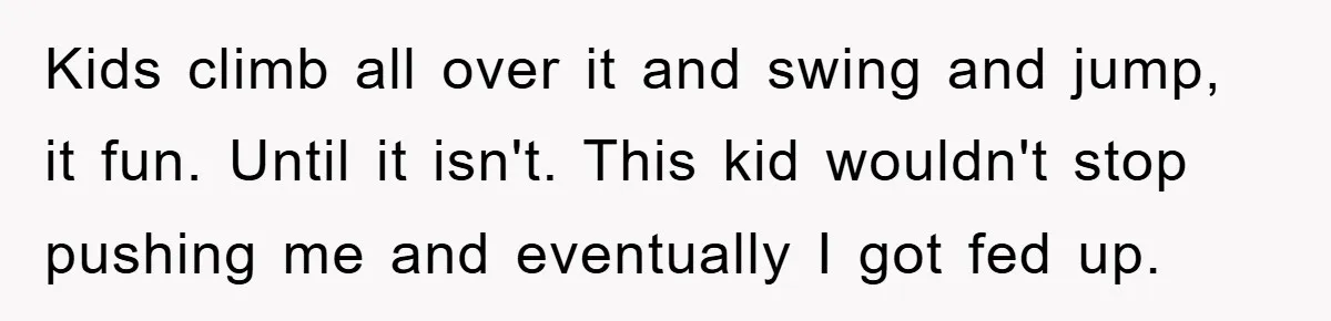 Kids climb all over it and swing and jump, it fun. Until it isn't. This kid wouldn't stop pushing me and eventually I got fed up.
