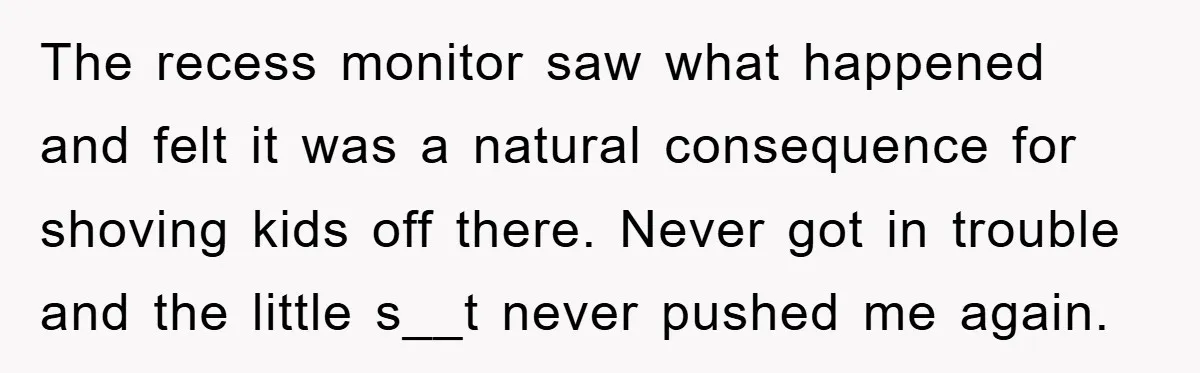 The recess monitor saw what happened and felt it was a natural consequence for shoving kids off there. Never got in trouble and the little s__t never pushed me again.