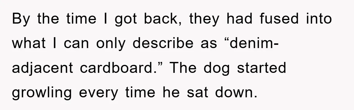 By the time I got back, they had fused into what I can only describe as “denim-adjacent cardboard.” The dog started growling every time he sat down.