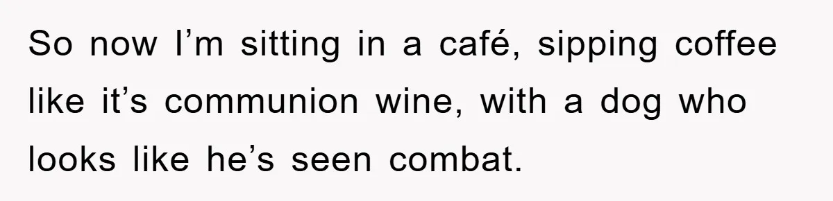 So now I’m sitting in a café, sipping coffee like it’s communion wine, with a dog who looks like he’s seen combat.