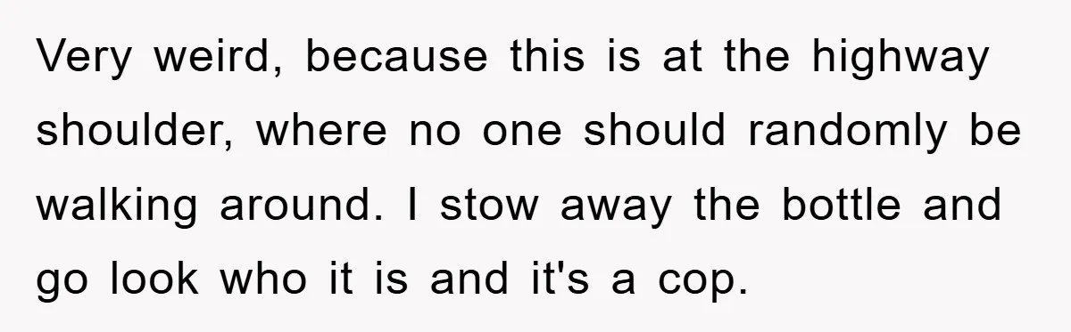 Very weird, because this is at the highway shoulder, where no one should randomly be walking around. I stow away the bottle and go look who it is and it's...