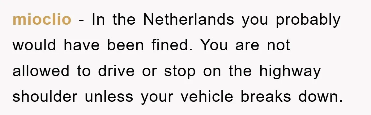 mioclio − In the Netherlands you probably would have been fined. You are not allowed to drive or stop on the highway shoulder unless your vehicle breaks down.