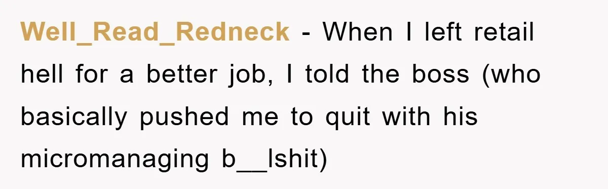 Well_Read_Redneck − When I left retail hell for a better job, I told the boss (who basically pushed me to quit with his micromanaging b__lshit)