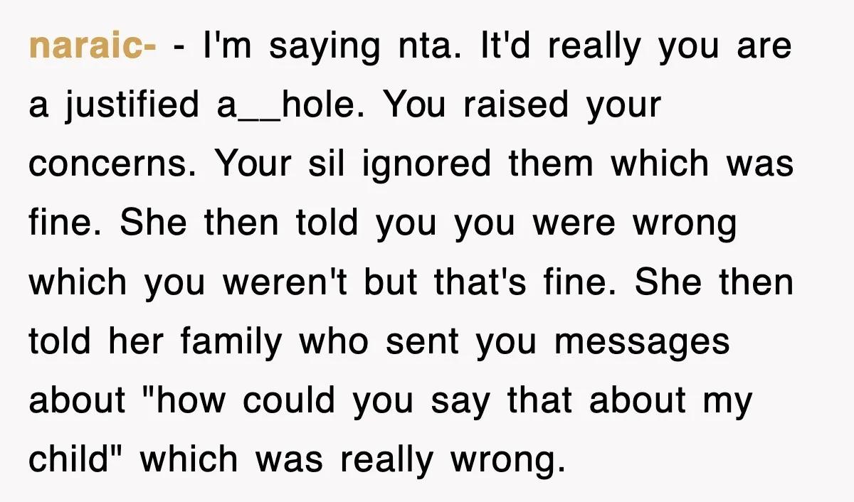 naraic- − I'm saying nta. It'd really you are a justified a__hole. You raised your concerns. Your sil ignored them which was fine. She then told you you were wrong...