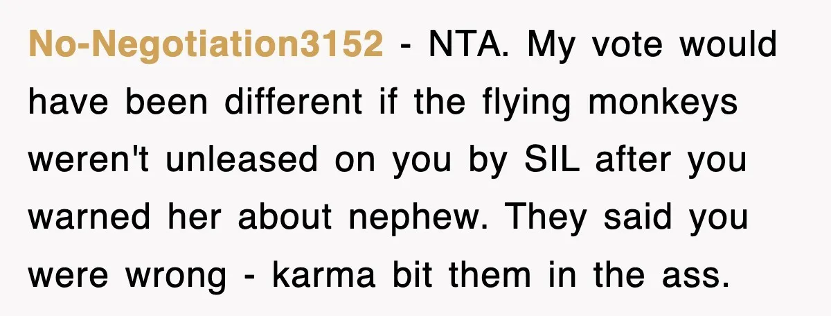 No-Negotiation3152 − NTA. My vote would have been different if the flying monkeys weren't unleased on you by SIL after you warned her about nephew. They said you were wrong...