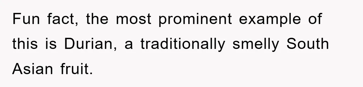 Coworker Slams Man’s Kimchi Lunch, Then Accuses Him of Playing the Race Card Fun fact, the most prominent example of this is Durian, a traditionally smelly South Asian fruit.