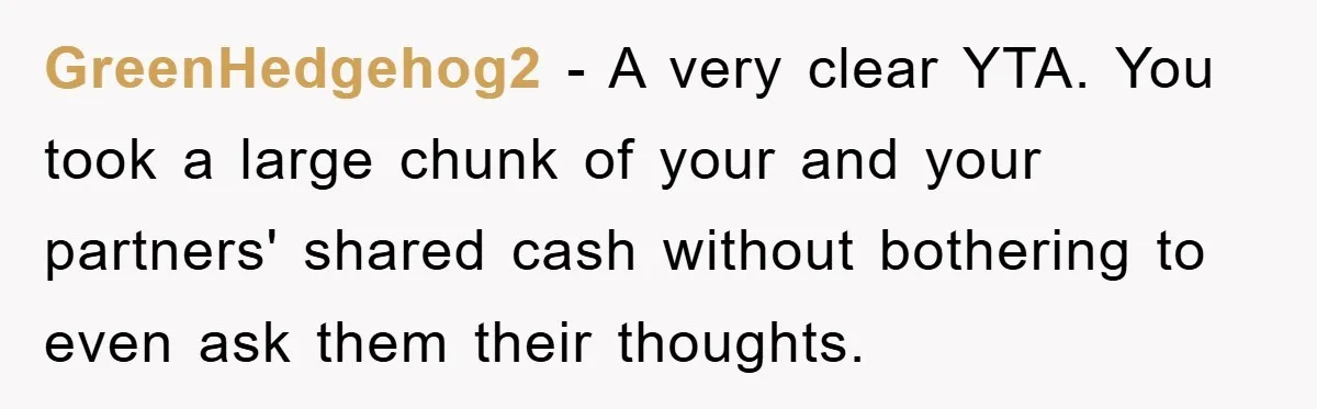 GreenHedgehog2 − A very clear YTA. You took a large chunk of your and your partners' shared cash without bothering to even ask them their thoughts.