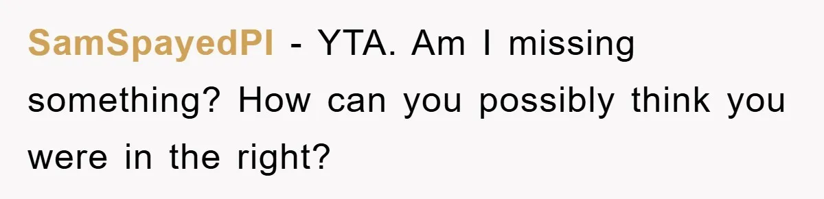 SamSpayedPI − YTA. Am I missing something? How can you possibly think you were in the right?