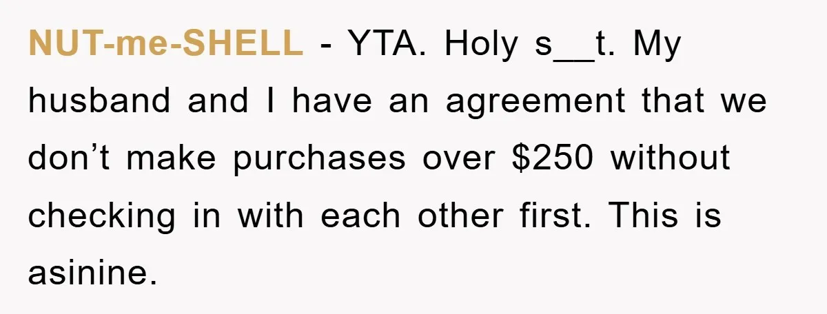 NUT-me-SHELL − YTA. Holy s__t. My husband and I have an agreement that we don’t make purchases over $250 without checking in with each other first. This is asinine.