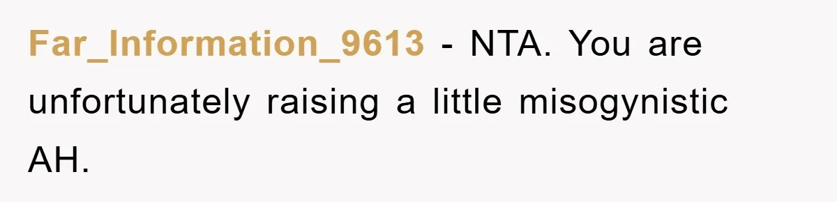 Far_Information_9613 − NTA. You are unfortunately raising a little misogynistic AH.