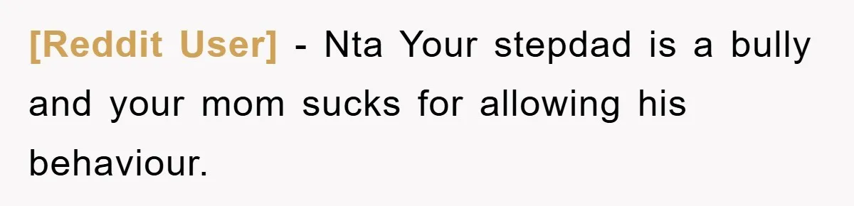 [Reddit User] − Nta Your stepdad is a bully and your mom sucks for allowing his behaviour.