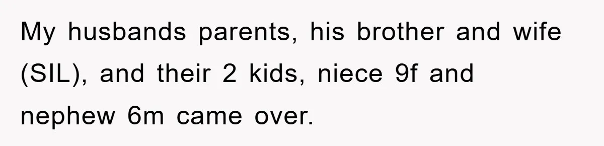 My husbands parents, his brother and wife (SIL), and their 2 kids, niece 9f and nephew 6m came over.