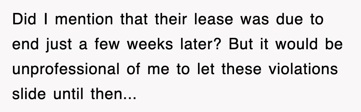 Did I mention that their lease was due to end just a few weeks later? But it would be unprofessional of me to let these violations slide until then... ​