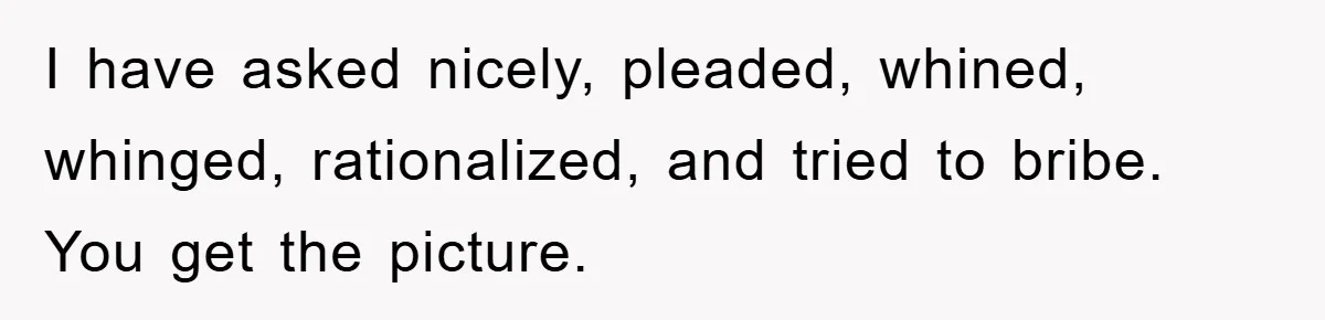 I have asked nicely, pleaded, whined, whinged, rationalized, and tried to bribe. You get the picture.