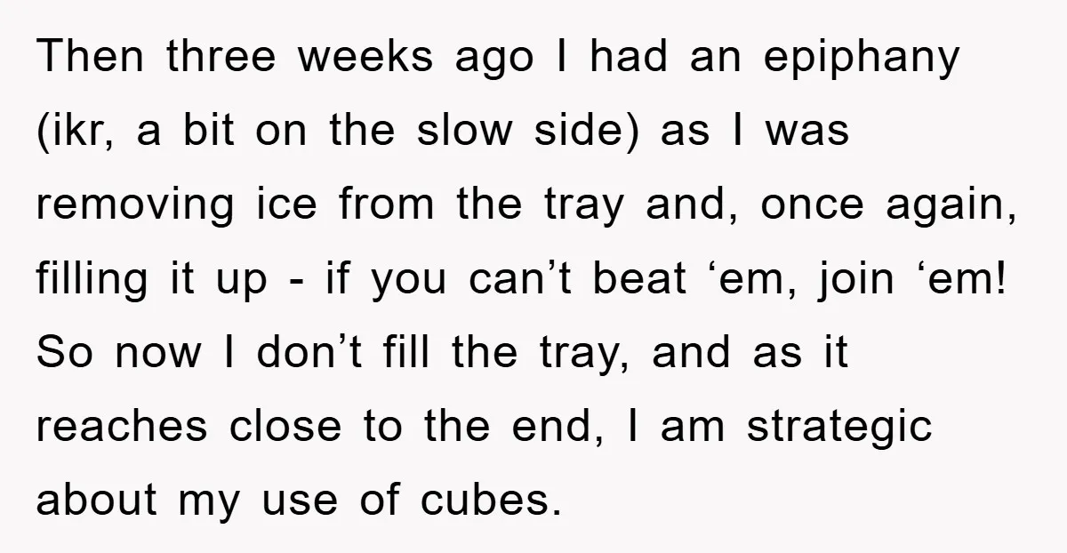 Then three weeks ago I had an epiphany (ikr, a bit on the slow side) as I was removing ice from the tray and, once again, filling it up -...