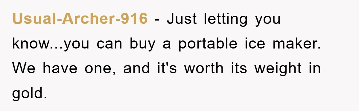 Usual-Archer-916 − Just letting you know...you can buy a portable ice maker. We have one, and it's worth its weight in gold.