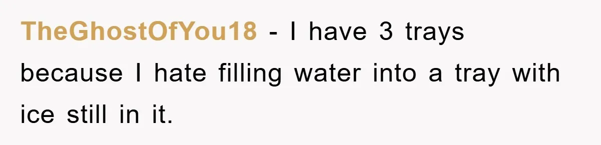 TheGhostOfYou18 − I have 3 trays because I hate filling water into a tray with ice still in it.