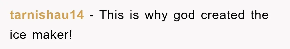 tarnishau14 − This is why god created the ice maker!