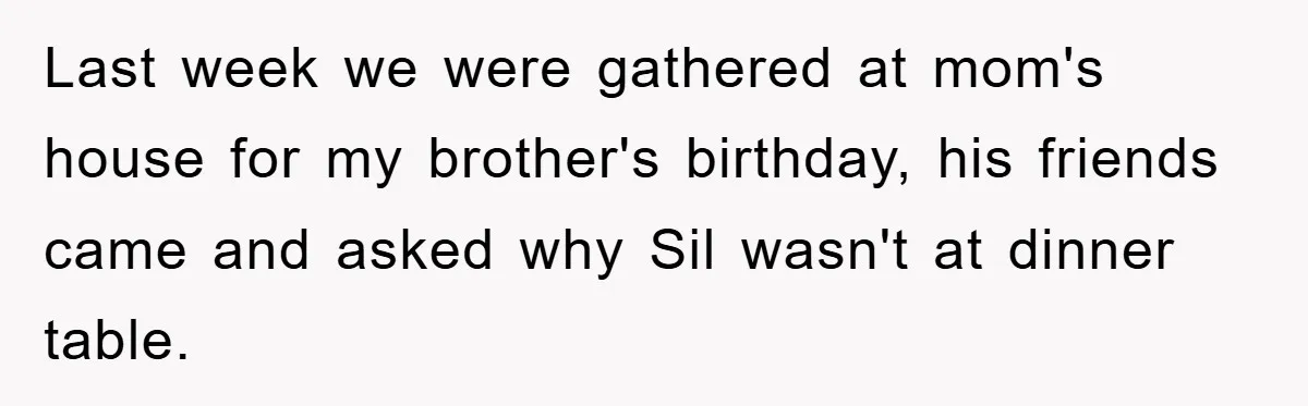 Last week we were gathered at mom's house for my brother's birthday, his friends came and asked why Sil wasn't at dinner table.