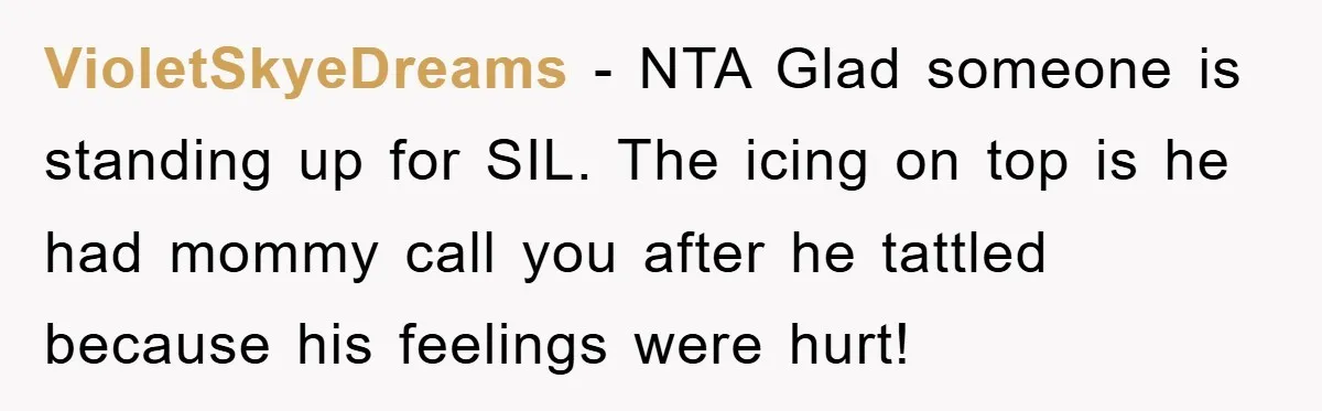 VioletSkyeDreams − NTA Glad someone is standing up for SIL. The icing on top is he had mommy call you after he tattled because his feelings were hurt!