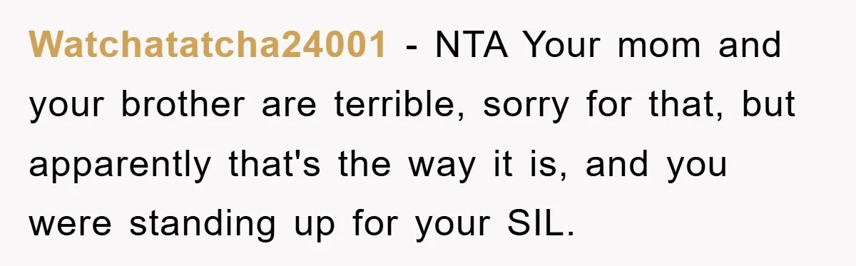 Watchatatcha24001 − NTA Your mom and your brother are terrible, sorry for that, but apparently that's the way it is, and you were standing up for your SIL.