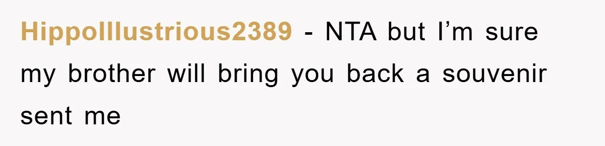 HippoIllustrious2389 − NTA but I’m sure my brother will bring you back a souvenir sent me
