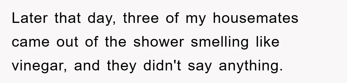 Later that day, three of my housemates came out of the shower smelling like vinegar, and they didn't say anything.