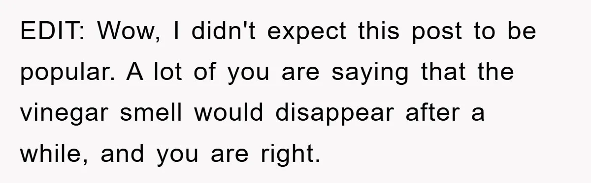 EDIT: Wow, I didn't expect this post to be popular. A lot of you are saying that the vinegar smell would disappear after a while, and you are right.