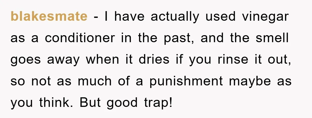blakesmate − I have actually used vinegar as a conditioner in the past, and the smell goes away when it dries if you rinse it out, so not as much...
