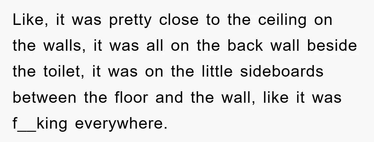 Like, it was pretty close to the ceiling on the walls, it was all on the back wall beside the toilet, it was on the little sideboards between the floor...