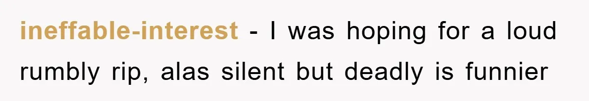 ineffable-interest − I was hoping for a loud rumbly rip, alas silent but deadly is funnier